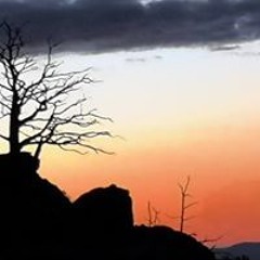 songlines123
