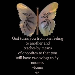 Maryam Niksereshtfard