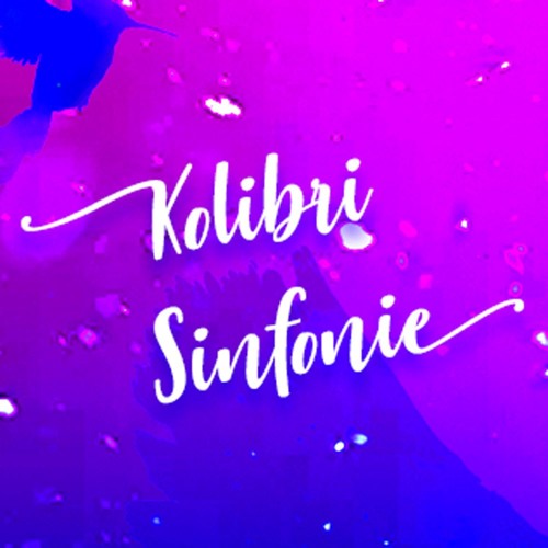 Kolibri Sinfonie’s avatar