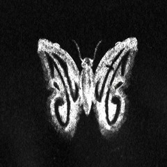 Joseph Lawrence & The Garden