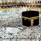 راجية الفردوس