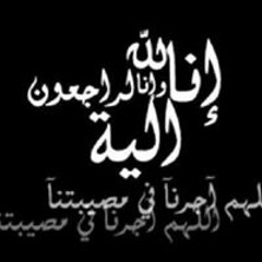 Alaa Adel elsbbagh