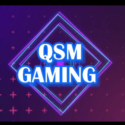 QSM FURY’s avatar