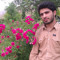 mohammadmahdi rasaei