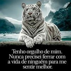paulomec237@gmail.com
