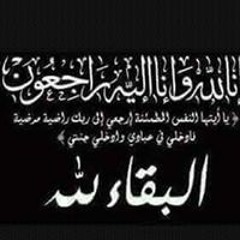 Hosam Alshatry
