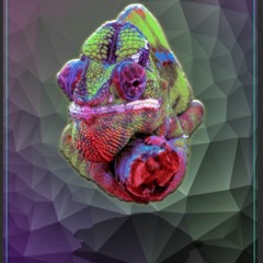 CODO