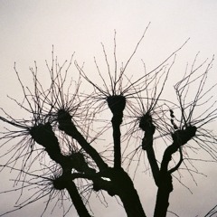 Fauna_Pomorskie