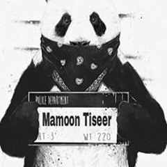 مأمون تيسير