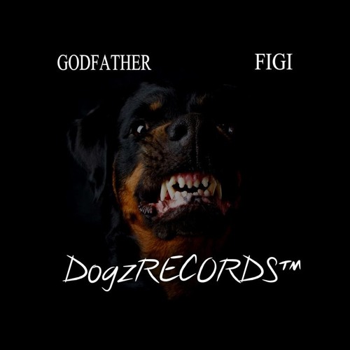 Dogz RECORDS’s avatar