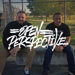 The Open Perspective