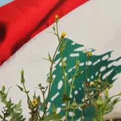 Mortada Kassir