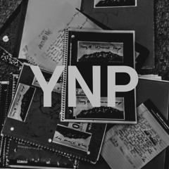 YNP - 15 MINUTES