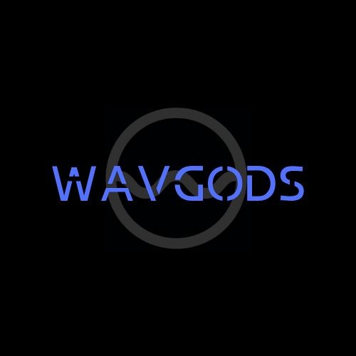 WAVGODS’s avatar