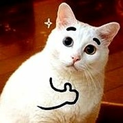 P-chan