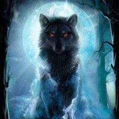 Việt Cẩm Nguyễn