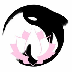 Chikara CKR