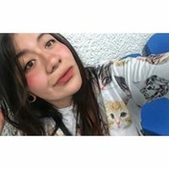 Li L Cat🐈