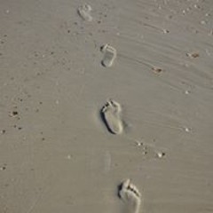 Footprints/Frank Buffum