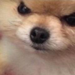 빰빰