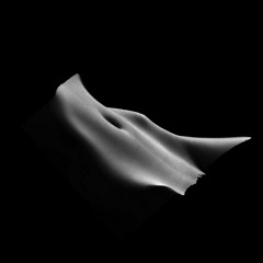 FELM