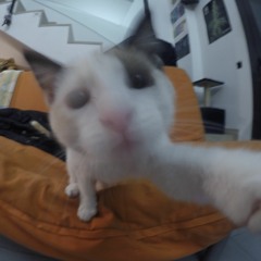 oodiliOOOW!
