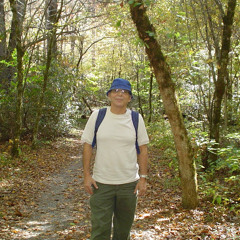 Mike Sarem