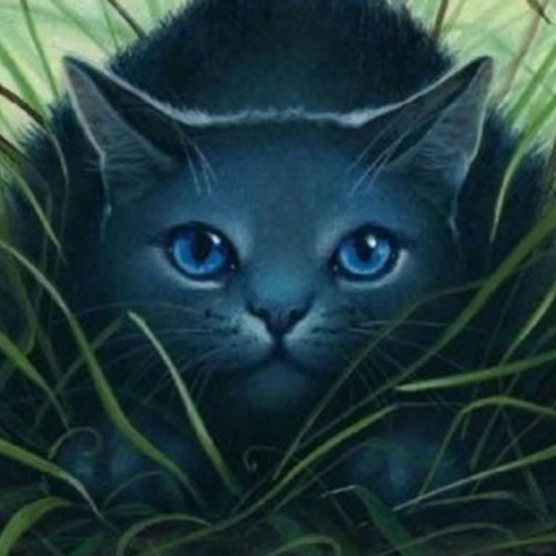 Stream Bluestar music | Listen to songs, albums, playlists for free on SoundCloud Bluestar