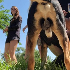 Broke and Uneducated