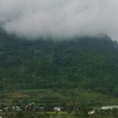 Nguyễn Tình