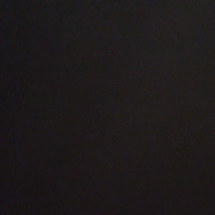 정명환