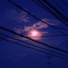 おさかなちんぱんじー