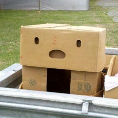 Box