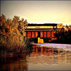 Black Bridge Manifesto