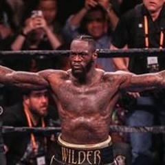 wilder