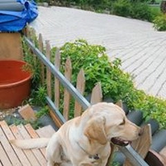 띵곡2