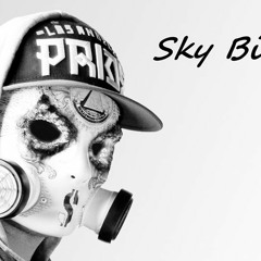 Sky_Bird_sa