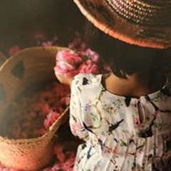 عثمان الزامل