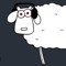 Schaap
