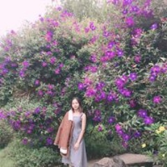 Quỳnh Thư Thư