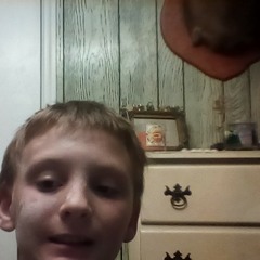 travis falcone