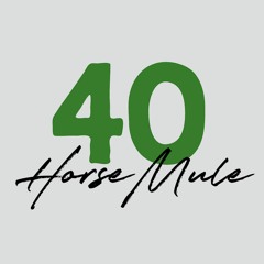 40 Horse Mule Music