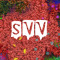 SVV