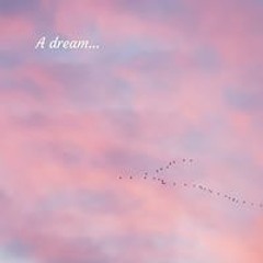 đồ tồi 🎵