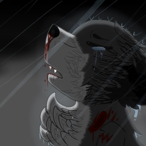 spiritwolf98’s avatar