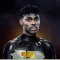 PIPO_509