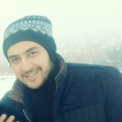 shahin hoseini