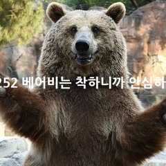 Bear.B