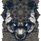 Chocolate Space Bear