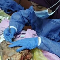أسماء